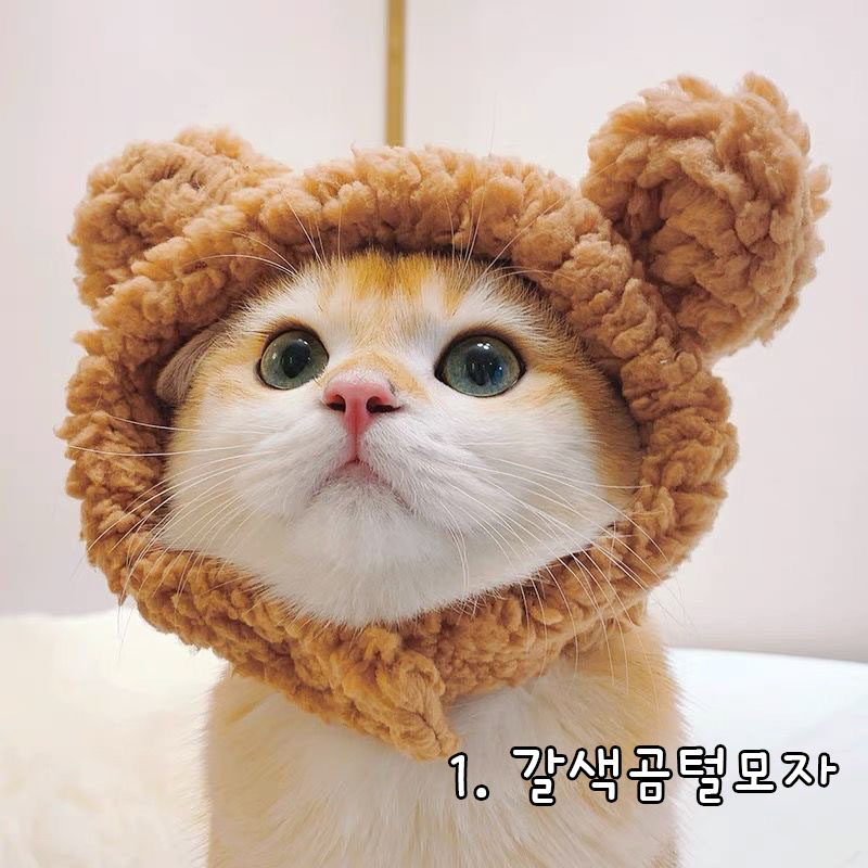 다묘집사 귀여운 곰돌이 모자 - 상세 이미지 4