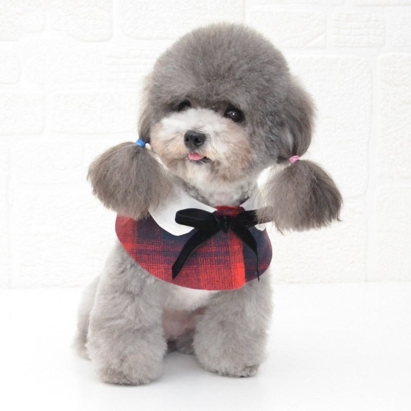 다묘집사 고양이 나비 넥타이 보타이 케이프 - 상세 이미지 2