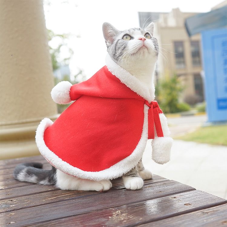 다묘집사 고양이 케이프 크리스마스 산타 망토 옷