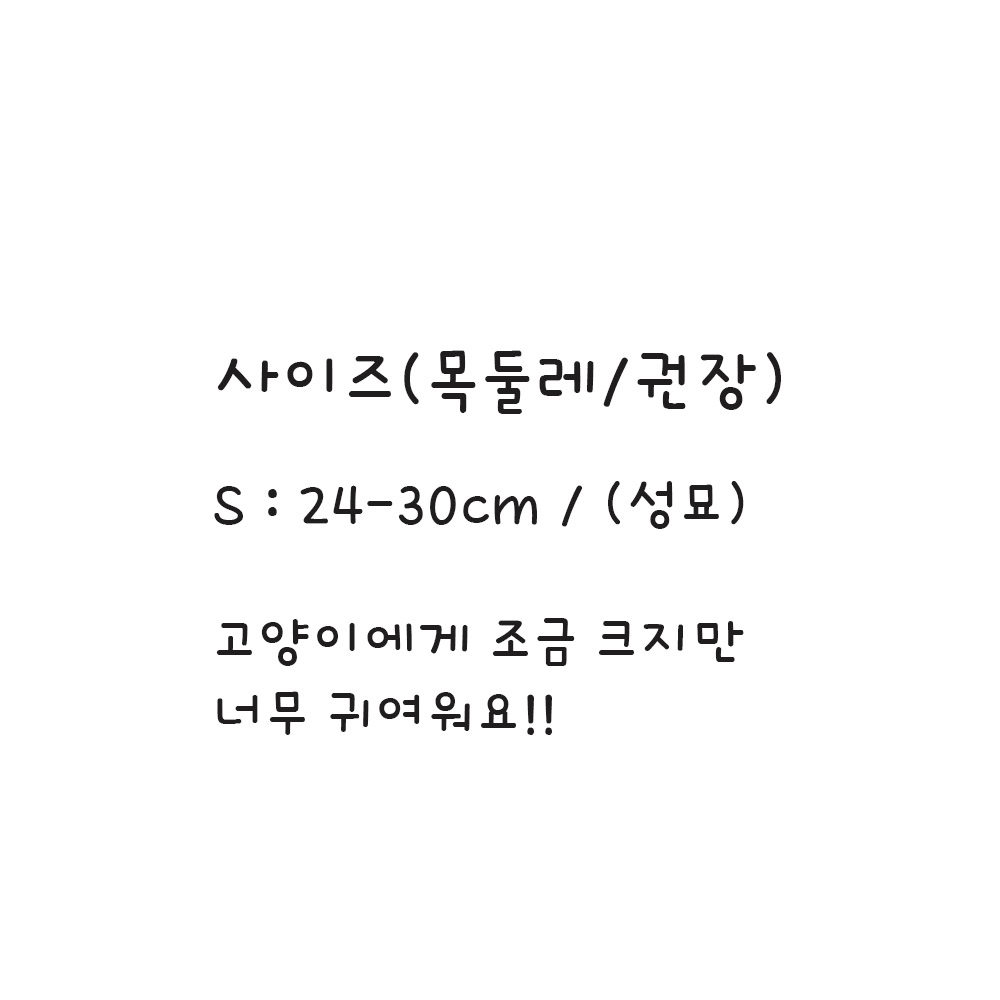 다묘집사 귀여운 곰돌이 모자 이미지 8