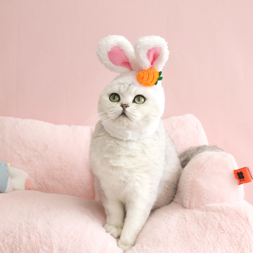 다묘집사 귀여운 고양이 토끼 꽃 당근 모자 - 상품 이미지