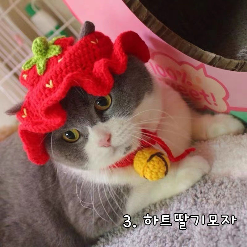다묘집사 귀여운 뜨개질 고양이 모자 이미지 4