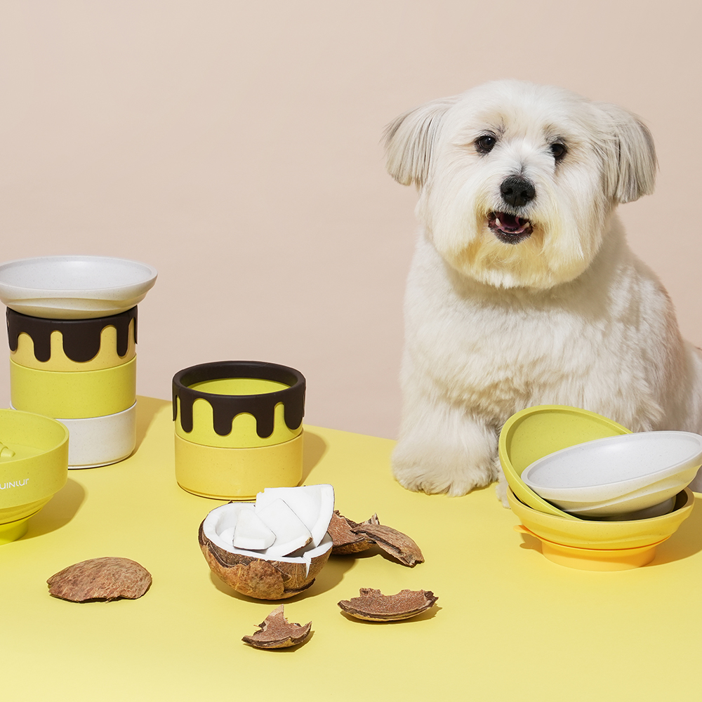 이벤트 본아페티 친환경 강아지 고양이 식기 밥그릇 물그릇 각도 높이 조절 애견 급체방지용 1개