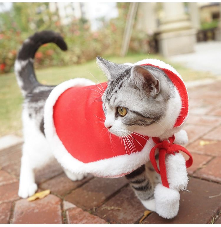 다묘집사 고양이 케이프 크리스마스 산타 망토 옷