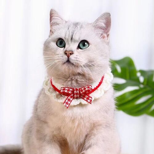 다묘집사 고양이 뜨개 리본 목걸이 - 상품 이미지