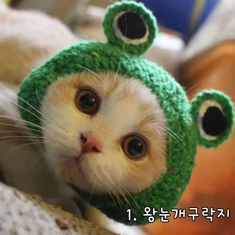 다묘집사 재미있는 뜨개질 모자 - 상세 이미지 2