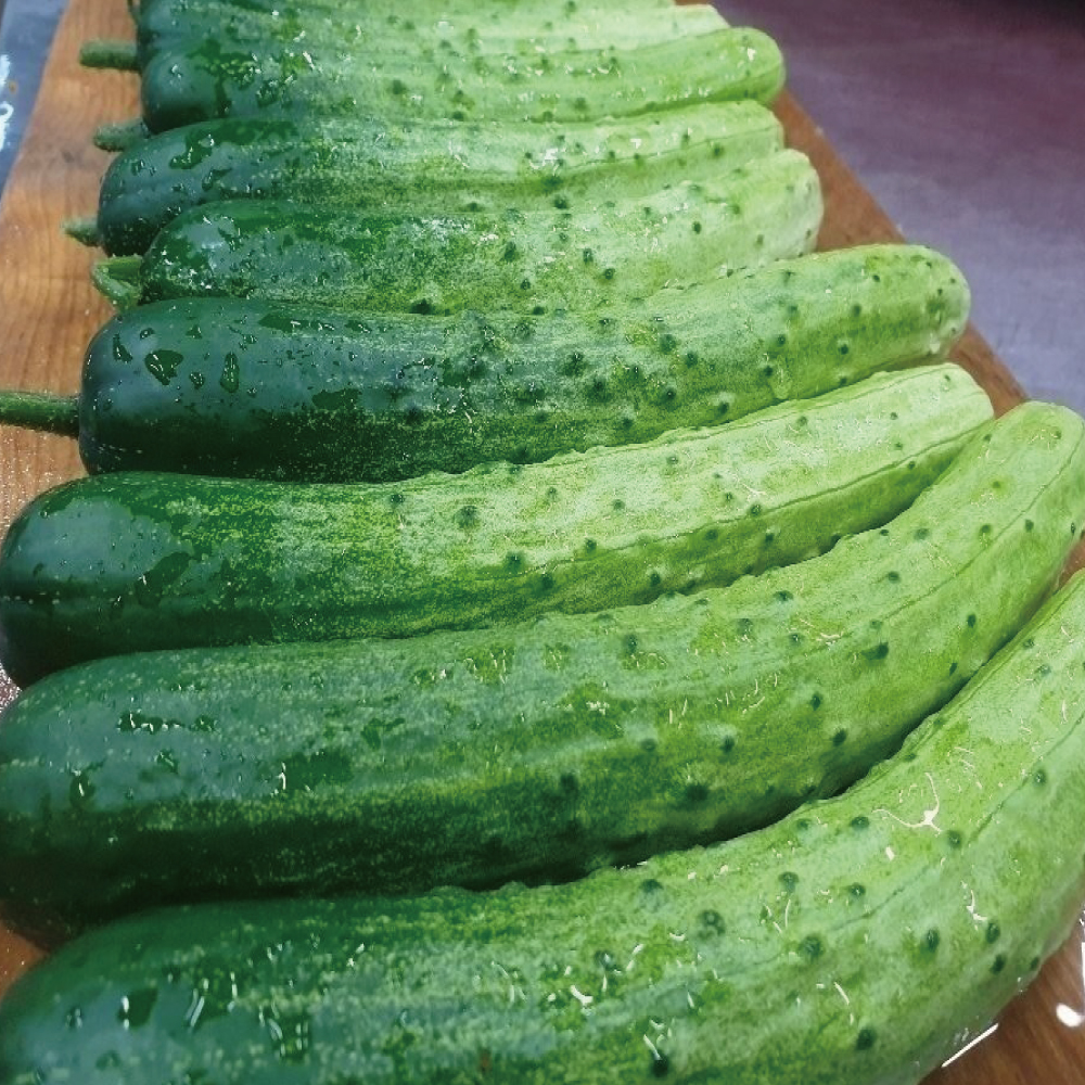 아삭하고 맛있는 오이소박이 국산 시원한 여름 별미김치 1kg - 상세 이미지 2