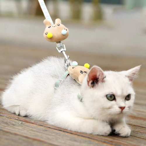 다묘집사 고양이 케이지 이동 하네스 - 상품 이미지