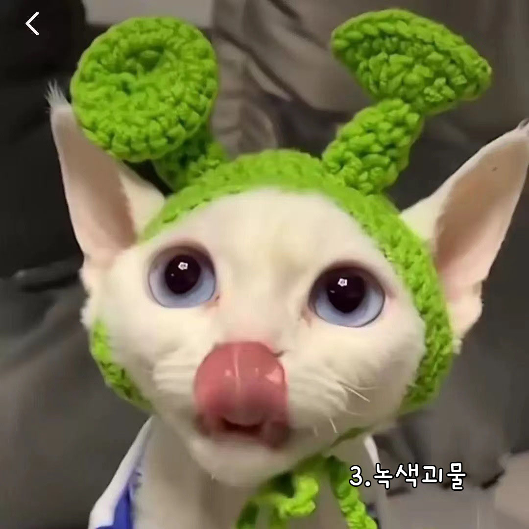 다묘집사 재미있는 뜨개질 모자 - 상세 이미지 4