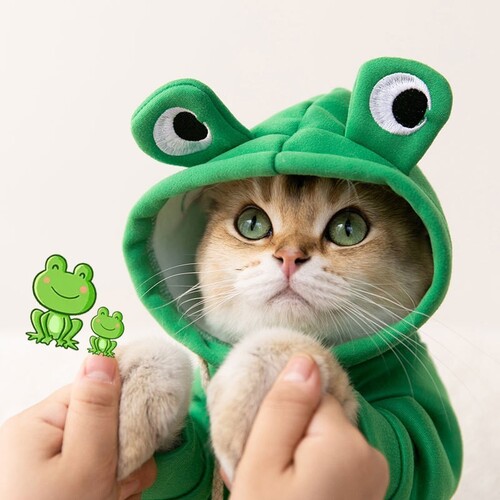 다묘집사 고양이 개구리 곰 후드 티 옷 - 상품 이미지