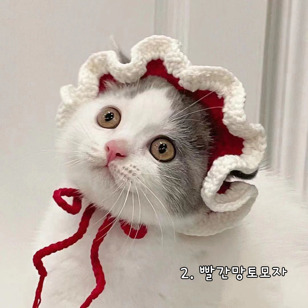 다묘집사 귀여운 뜨개질 고양이 모자 이미지 3