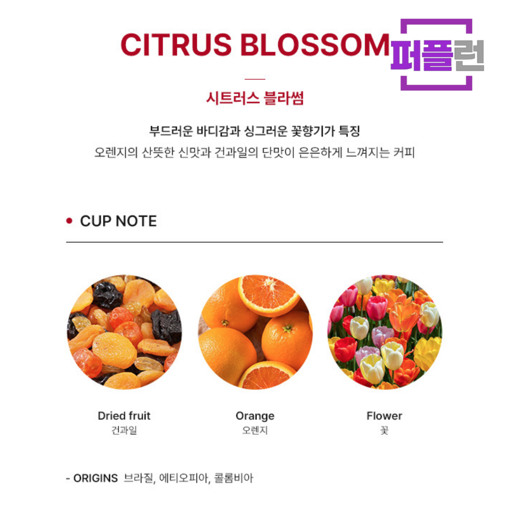 No3 시트러스 블라썸 커피 원두 홀빈 1kg x 5개 - 상세 이미지 2