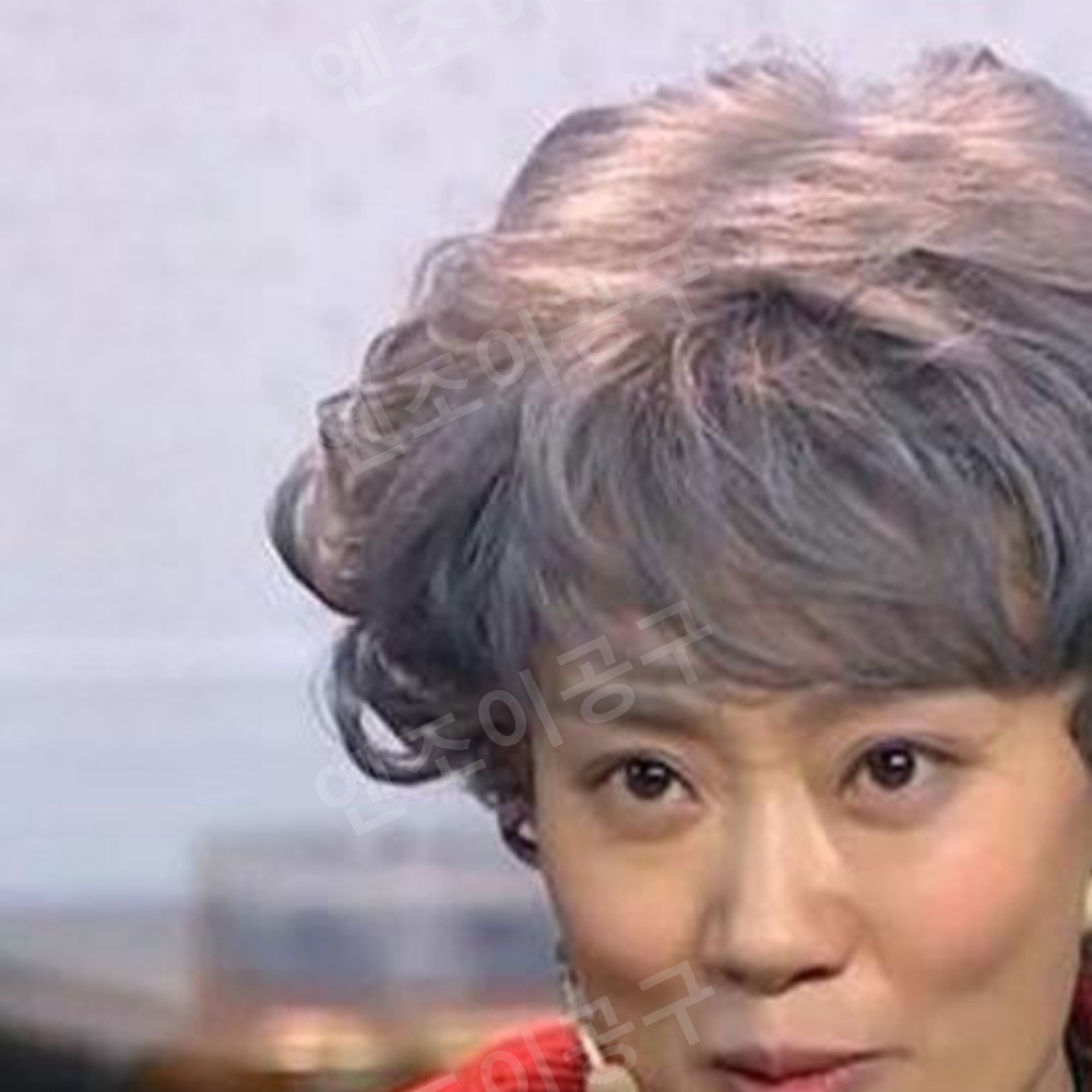 노인용 연기용 할머니 가발 중년 웨이브 파마 - 상품 이미지