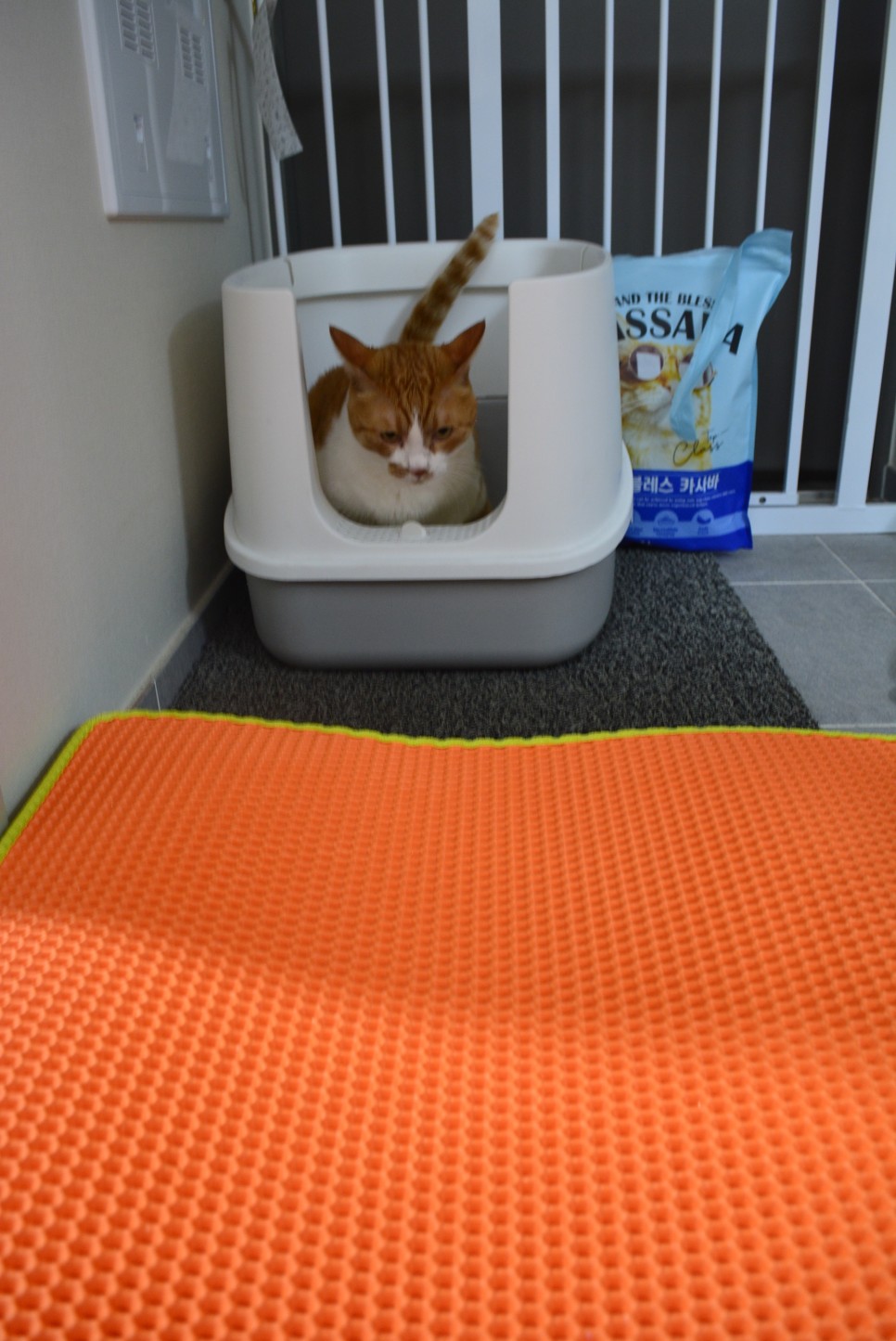 헬로마이펫 고양이 화장실 사막화방지 모래매트 대형