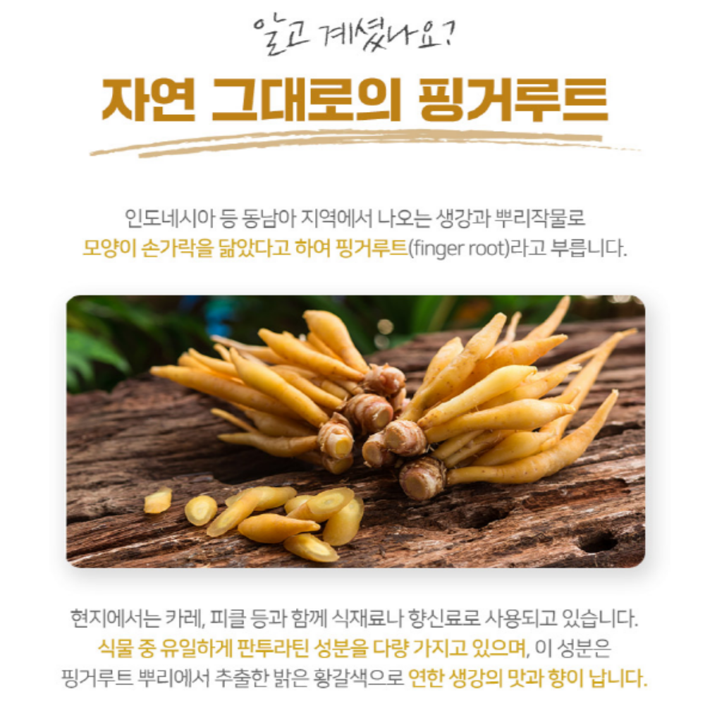 판두라틴 핑거루트추출분말 2팩 - 상세 이미지 2