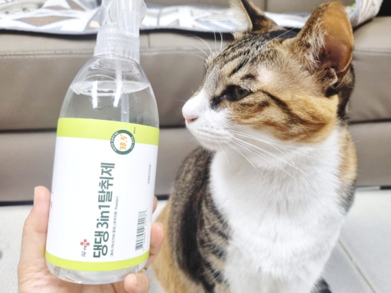 헬로마이펫 강아지 고양이 오줌 소변배변 냄새제거 탈취제 500ml - 상세 이미지 5