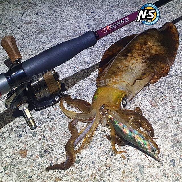 NS 크라켄 S2 에깅낚시대 바다루어대 E842M - 상세 이미지 4