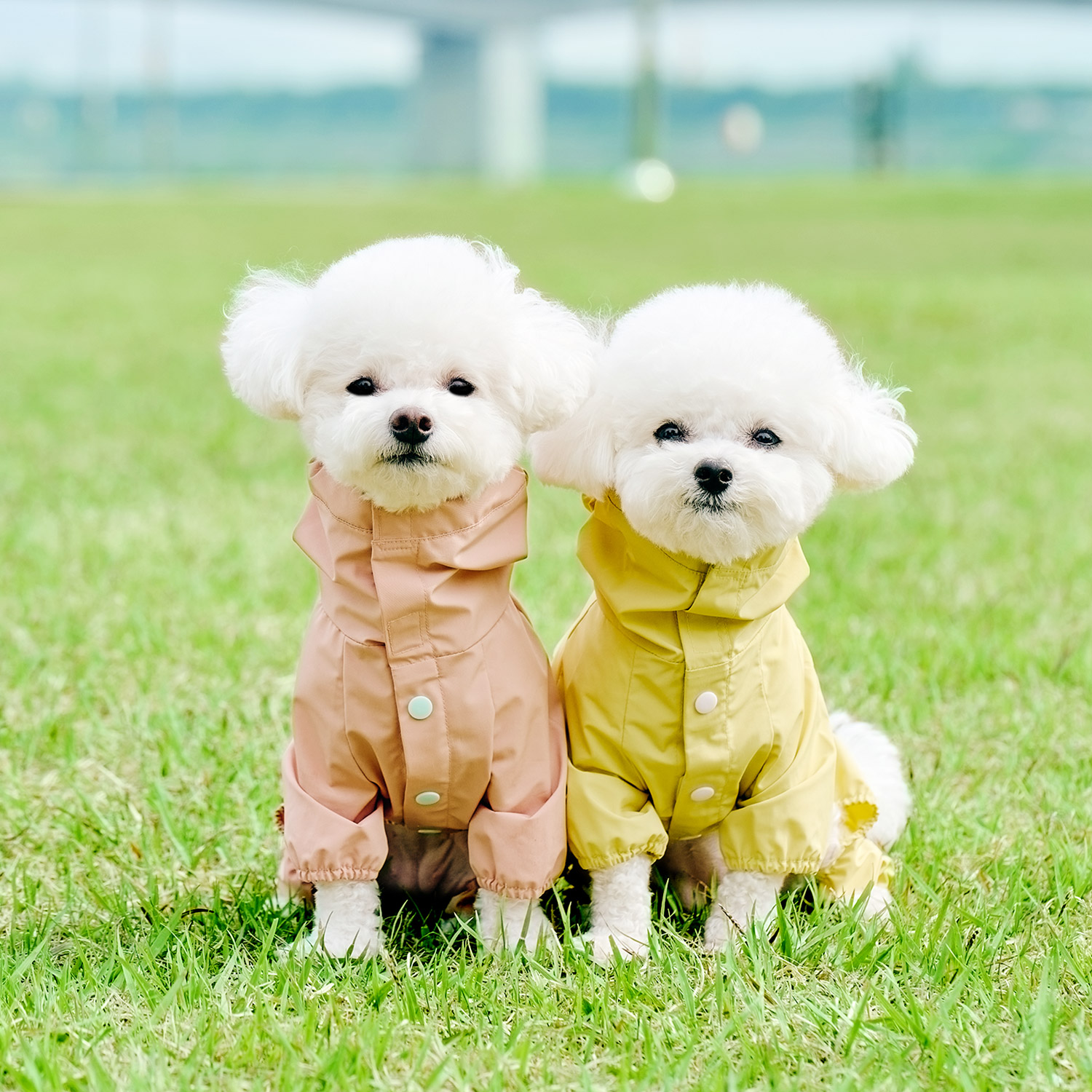 울리 강아지 우비 올인원 레인코트 강아지비옷 - 상세 이미지 2