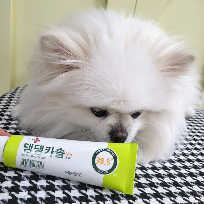 헬로마이펫 강아지연고 상처 습진 애견 피부연고 댕댕카솔 50g