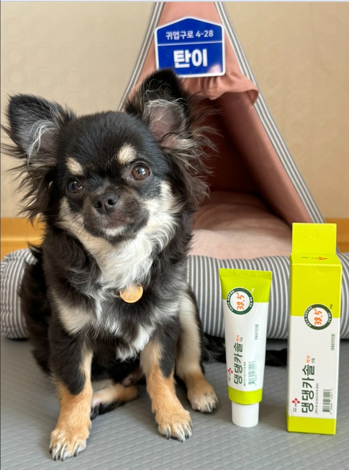 헬로마이펫 강아지 피부 연고 보습제 상처 습진 링웜 연고 발바닥밤 댕댕카솔 SET 150g