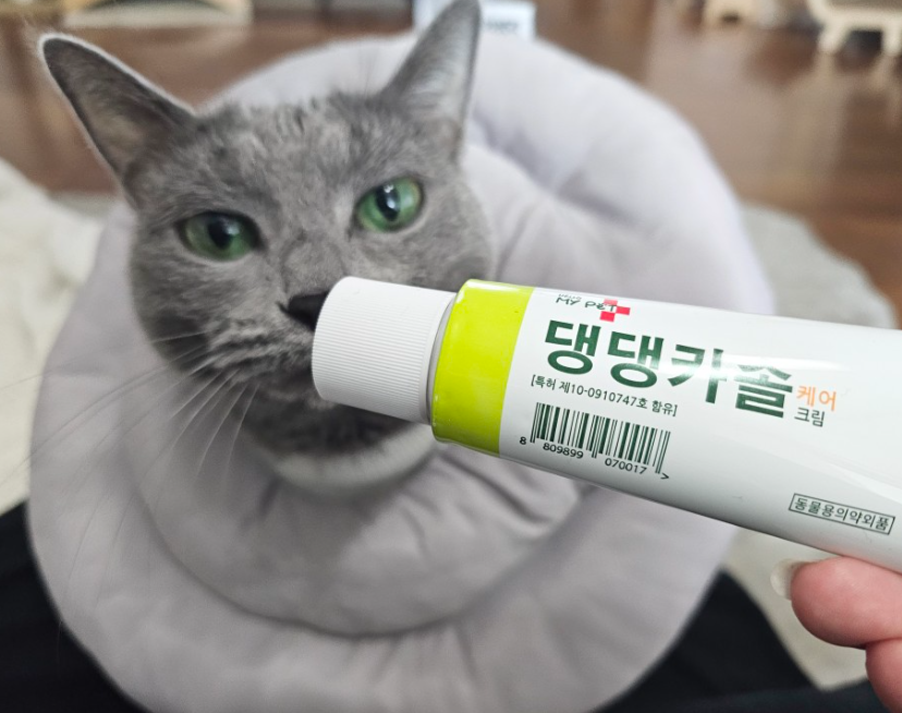 헬로마이펫 강아지 피부연고 댕댕카솔 진정+보습 2 천연샴푸1 SET - 상세 이미지 4
