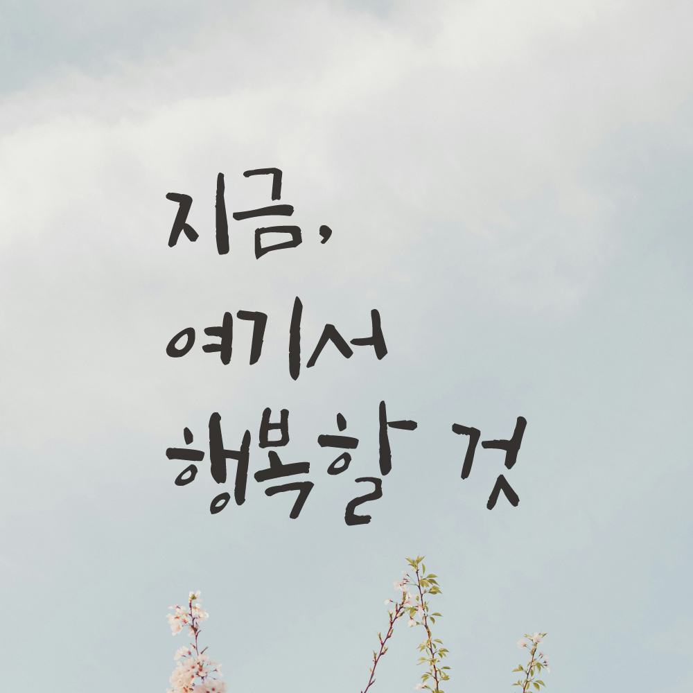 매장 카페 창문 거실 인테리어 캘리그라피 레터링 스티커 지금 여기서 행복할 것 LC-053S 검정 - 상세 이미지 5