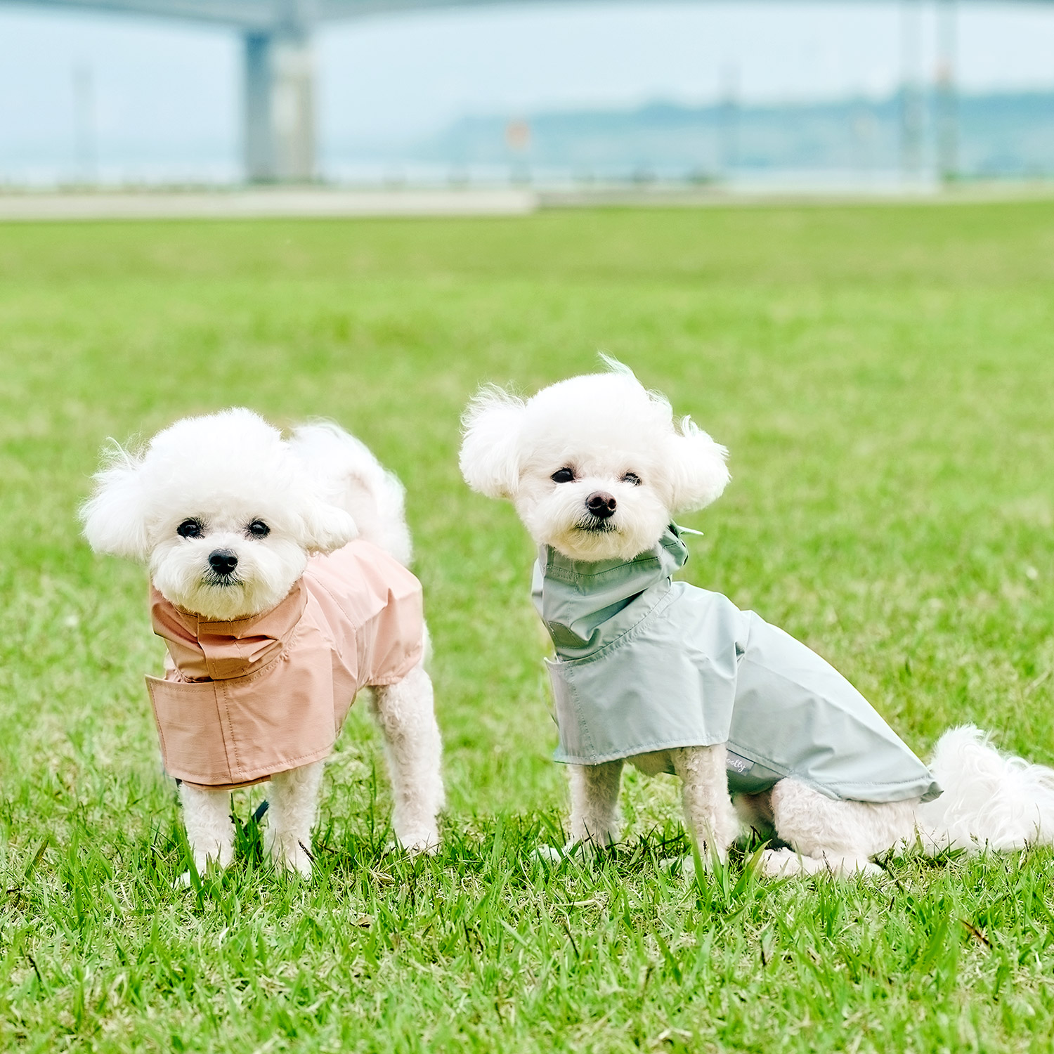 울리 강아지 우비 망토 레인코트 판초 강아지비옷 이미지 8