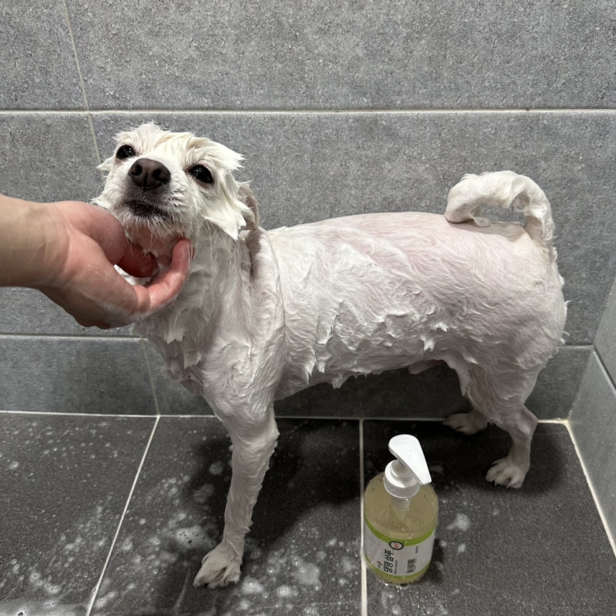 강아지 천연샴푸 개피부각질 강아지 아토피샴푸 발사탕 500ml