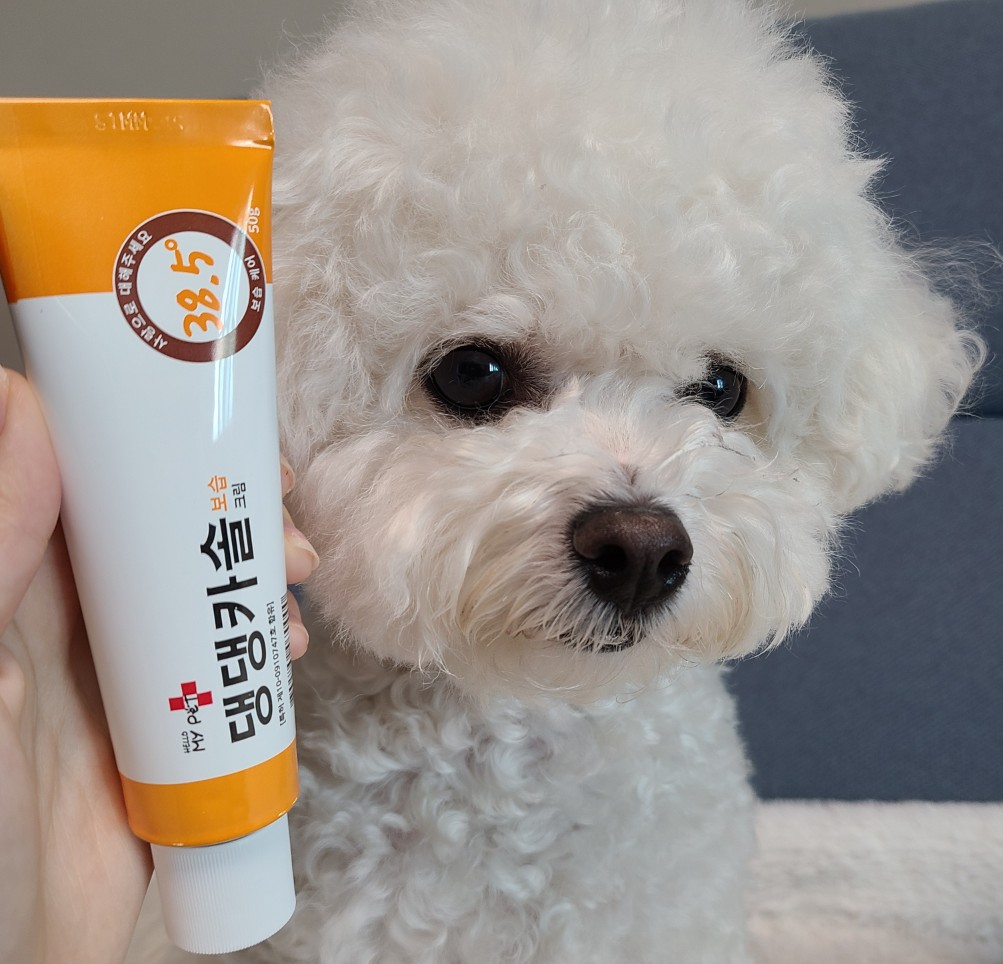 헬로마이펫 강아지 피부 연고 보습제 상처 습진 링웜 연고 발바닥밤 댕댕카솔 SET 150g