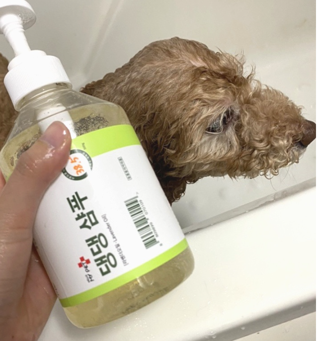 강아지 천연샴푸 개피부각질 강아지 아토피샴푸 발사탕 500ml
