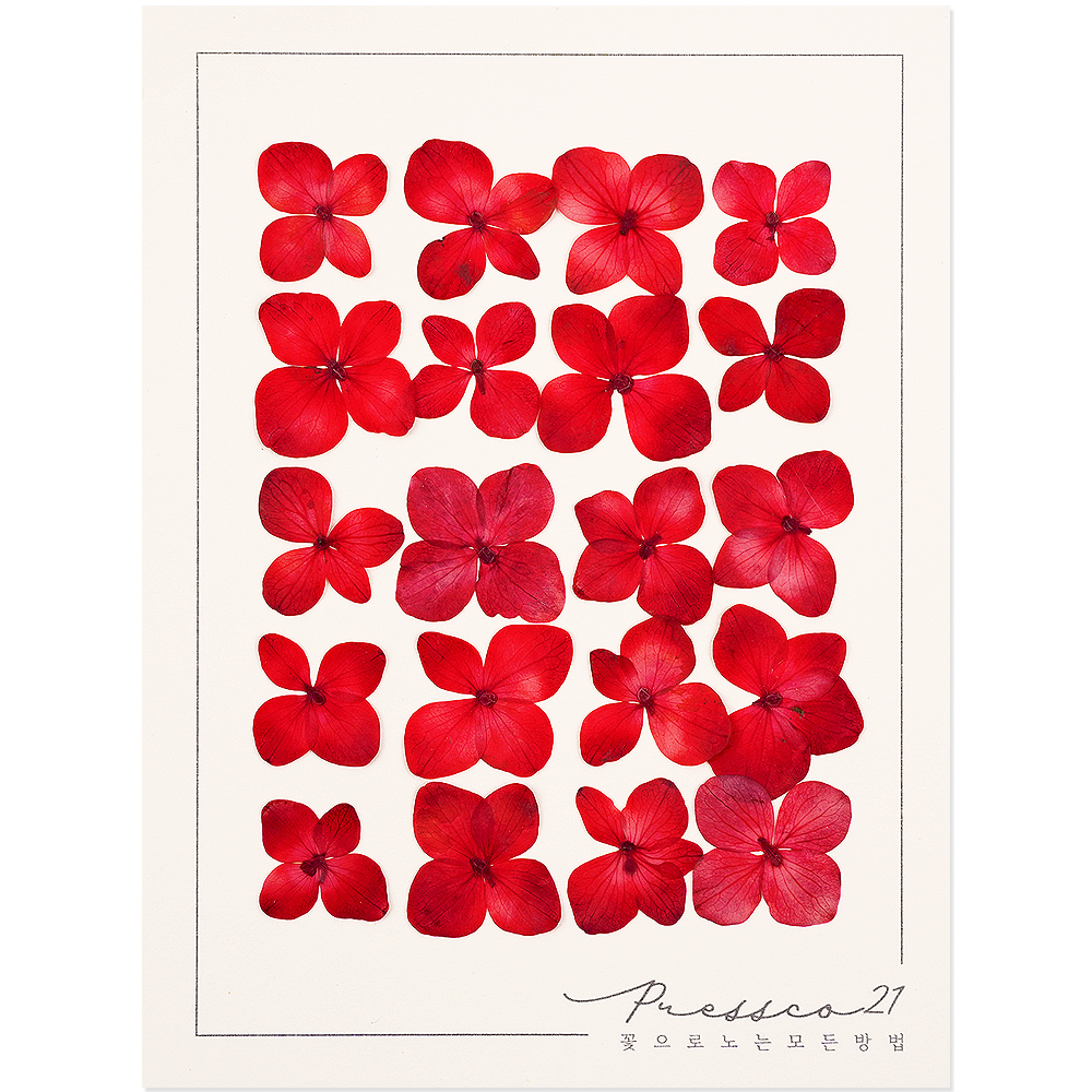 프레스코21 압화 꽃송이 수국 B형(짙은빨강) 20p - 상품 이미지