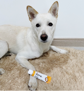 헬로마이펫 강아지 보습제 크림 발바닥밤 강아지 로션 에센스 댕댕카솔 50g - 상세 이미지 5