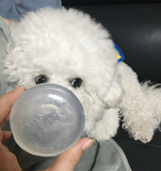 헬로마이펫 강아지 비누 수제 천연 샴푸바 발비누 발샴푸 애견 목욕비누 - 상세 이미지 5