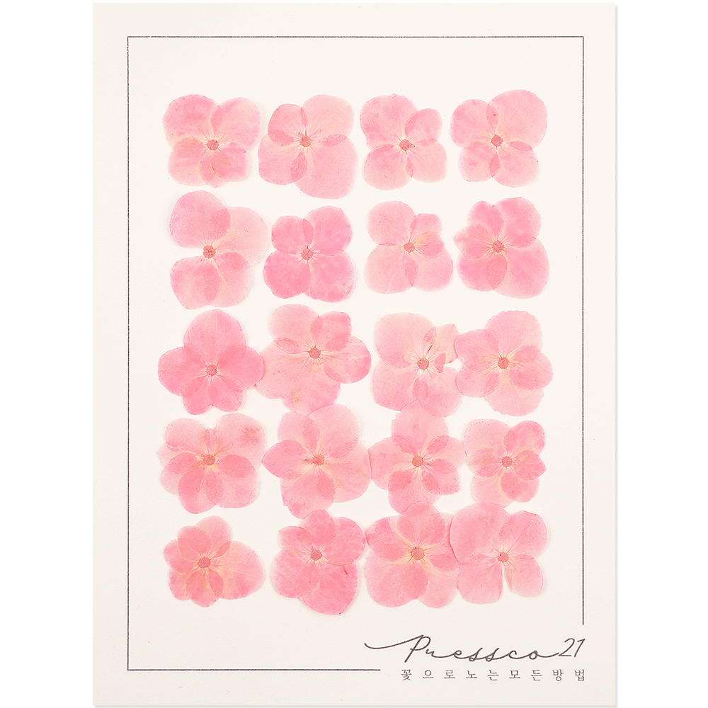 프레스코21 압화 꽃송이 수국 B형(연한벚꽃) 20p 제품 이미지