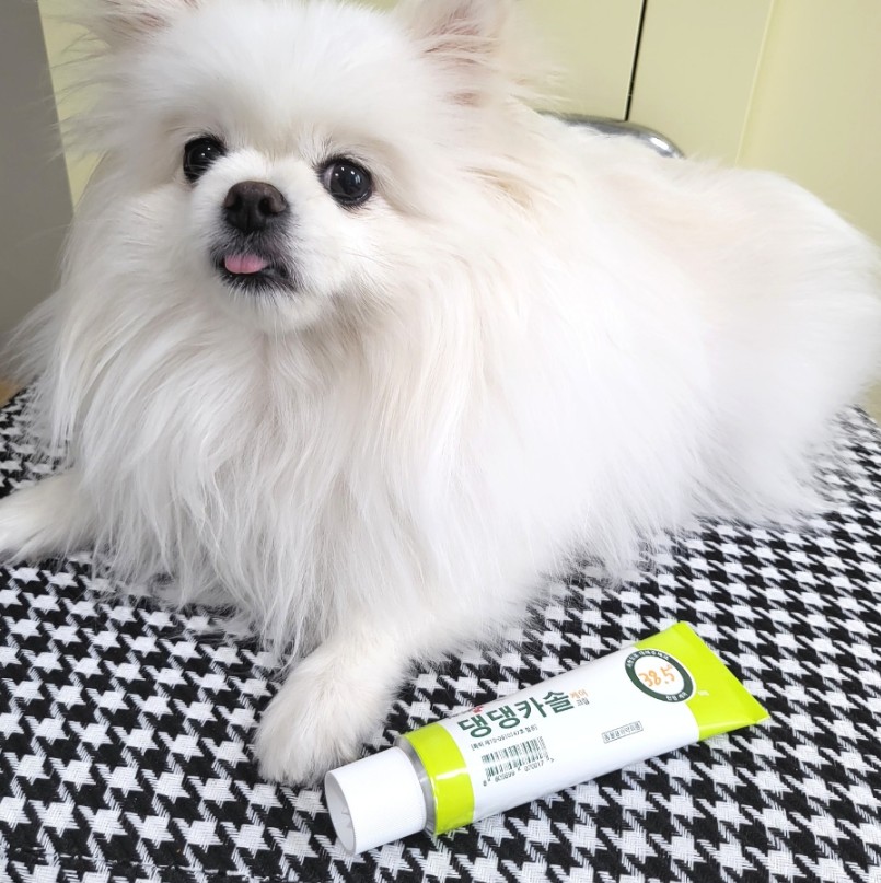 헬로마이펫 강아지연고 상처 습진 애견 피부연고 댕댕카솔 50g