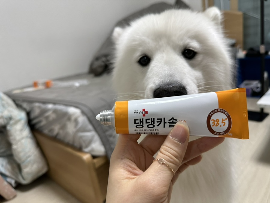 헬로마이펫 강아지 피부연고 댕댕카솔 진정+보습 2 천연샴푸1 SET - 상세 이미지 5