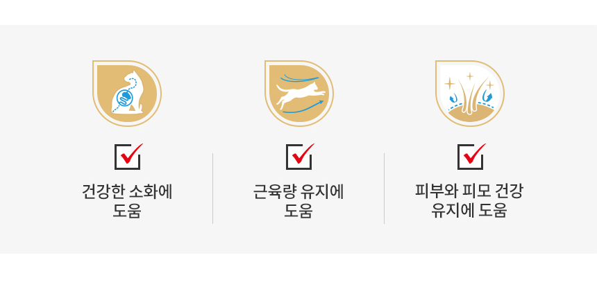 로얄캐닌 캣 뱅갈, 10kg, 1개 - 상세 이미지 5