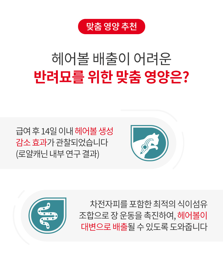 로얄캐닌 캣 헤어볼, 400g, 1개 - 상세 이미지 5