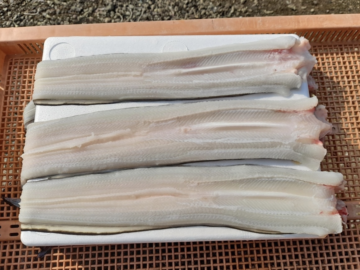 통영 손질 자연산 바다장어 특품 850g, 1개 - 상세 이미지 2