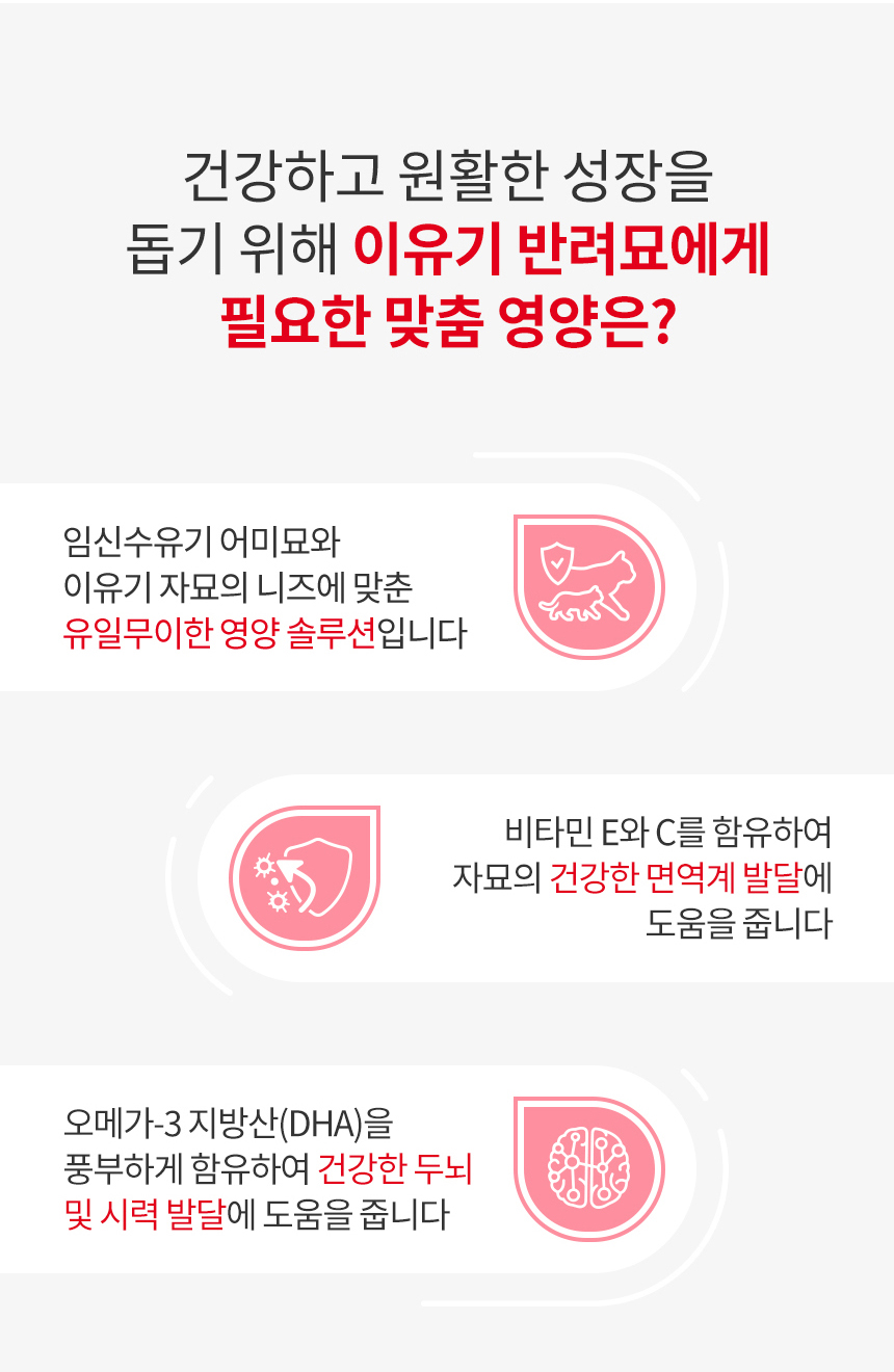 로얄캐닌 캣 키튼 마더 앤 베이비 캣 스테럴라이즈드 무스 트레이 고양이 습식사료 모음전 - 상세 이미지 5