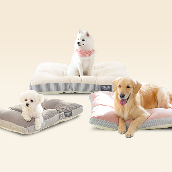 펫테일 올독방석 강아지 방석 대형견 쿠션 극세사 면 M