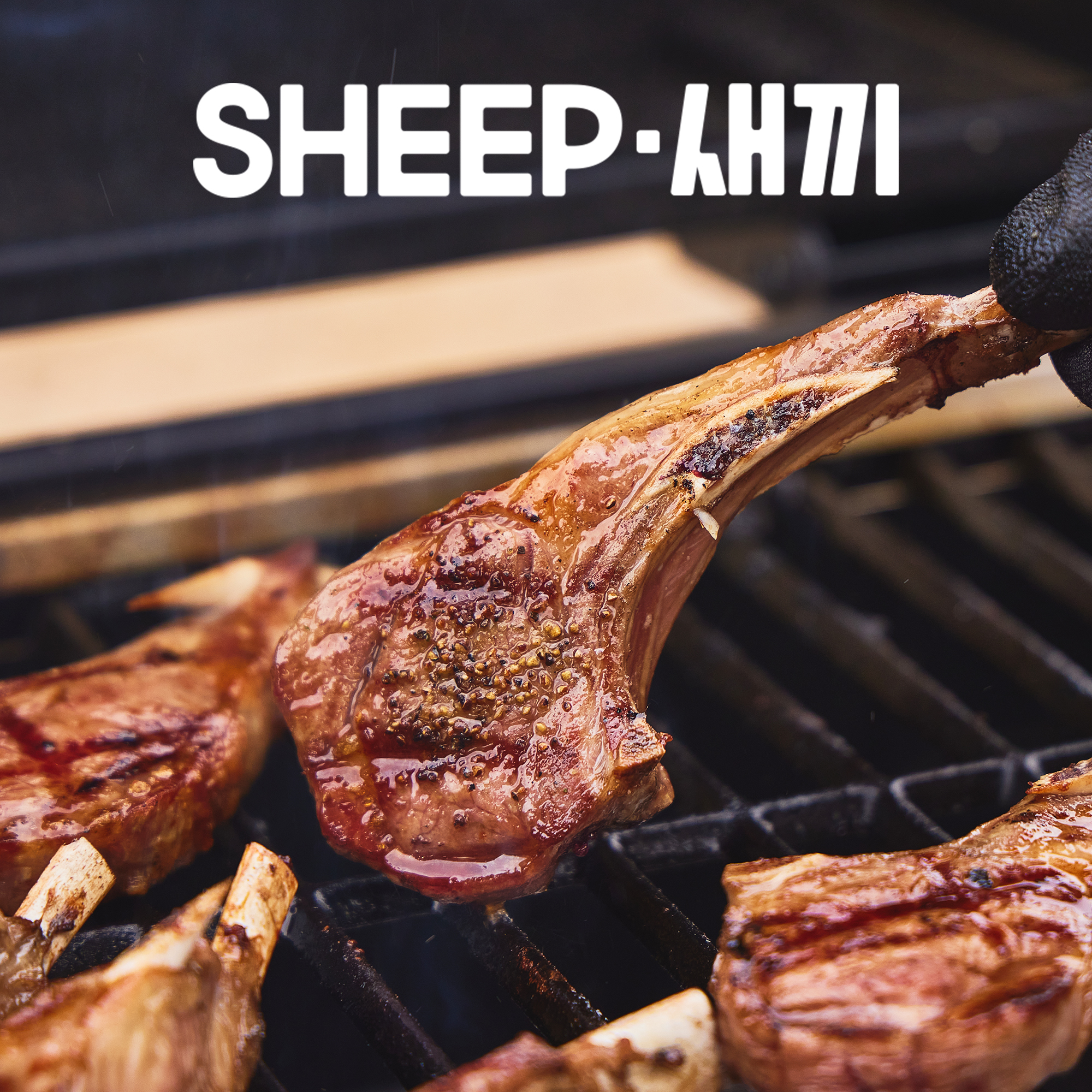 SHEEP새끼 양갈비 모음전 - 프렌치랙, 숄더랙, 큐브양꼬치, 캠핑 파티음식 양고기 스테이크 쉽새끼