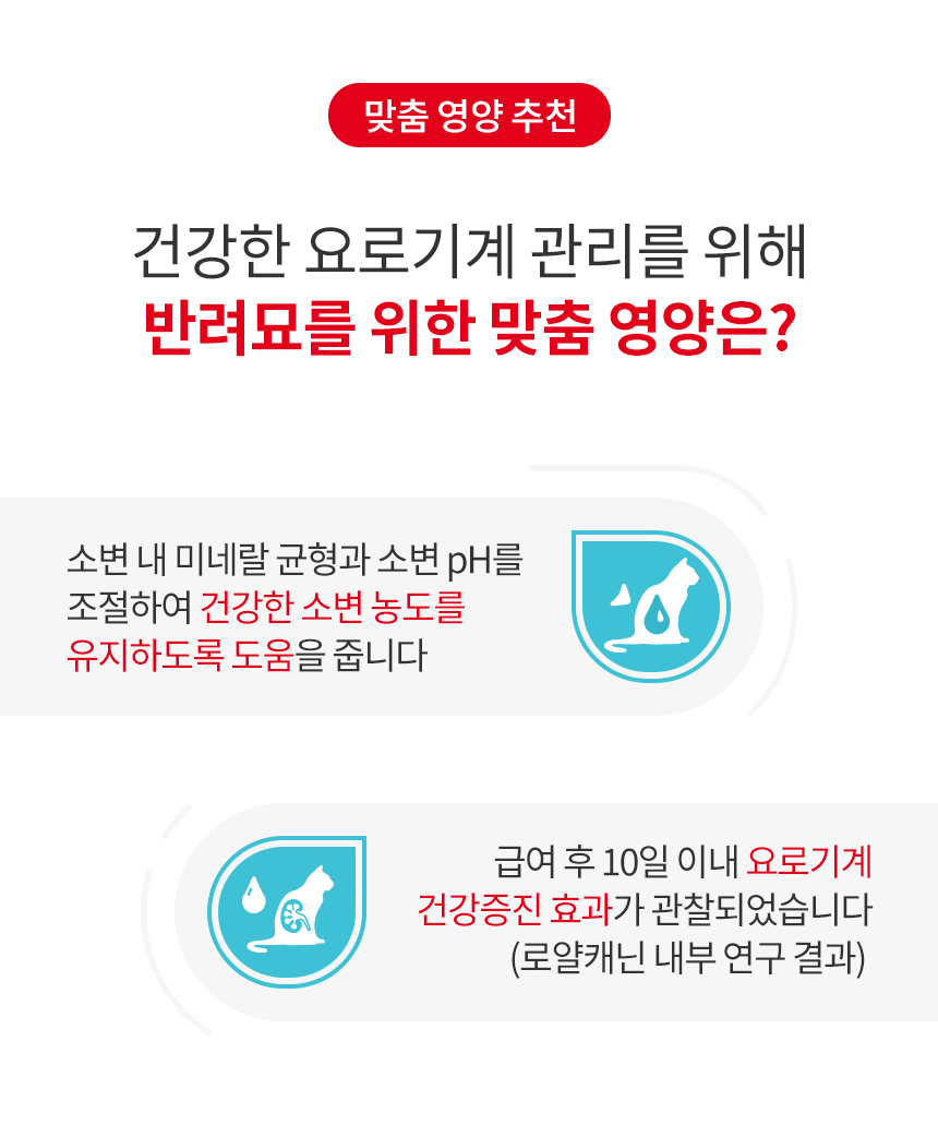 [유통기한 2027.05.11] 로얄캐닌 캣 유리너리, 4kg, 1개