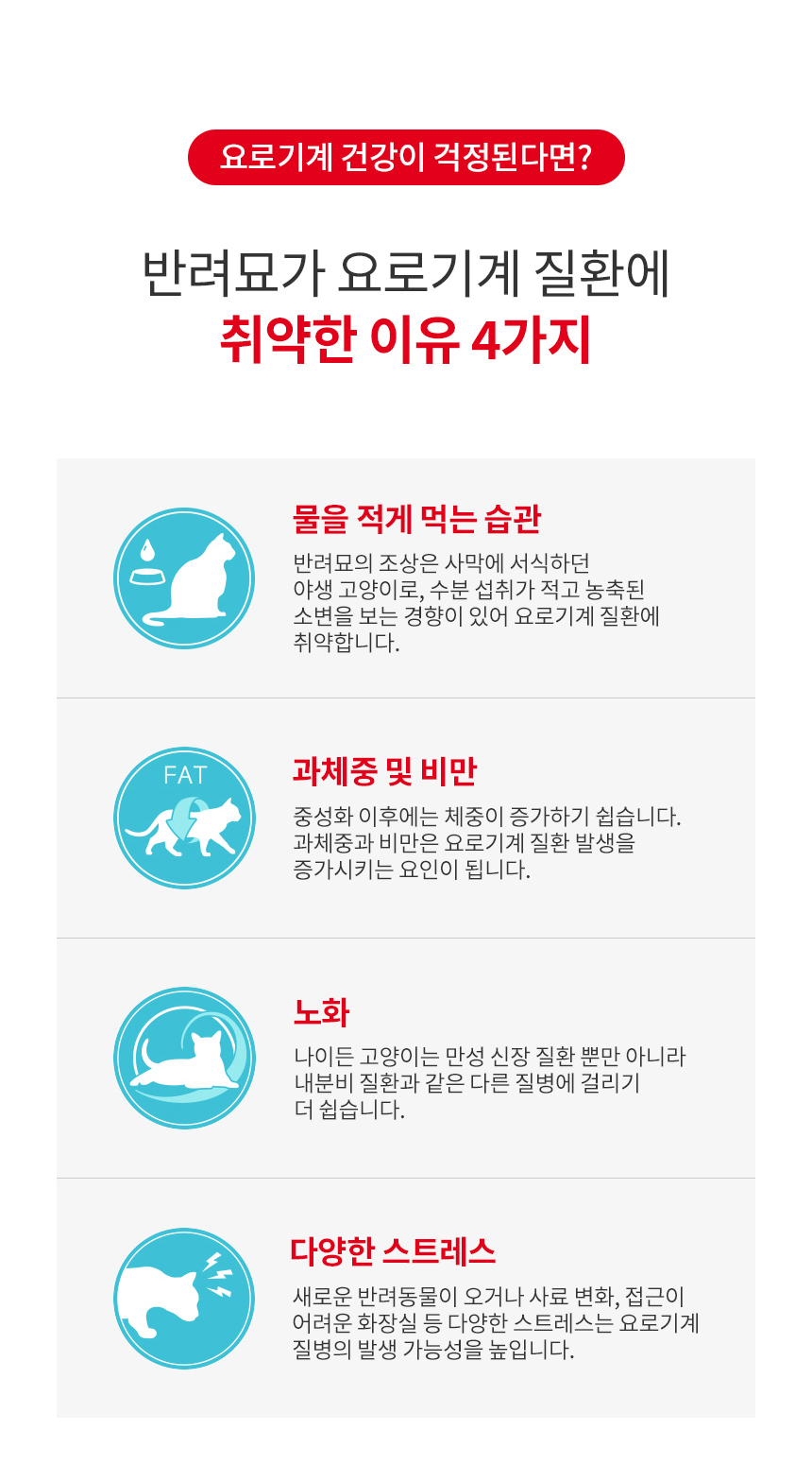 [유통기한 2027.05.11] 로얄캐닌 캣 유리너리, 4kg, 1개