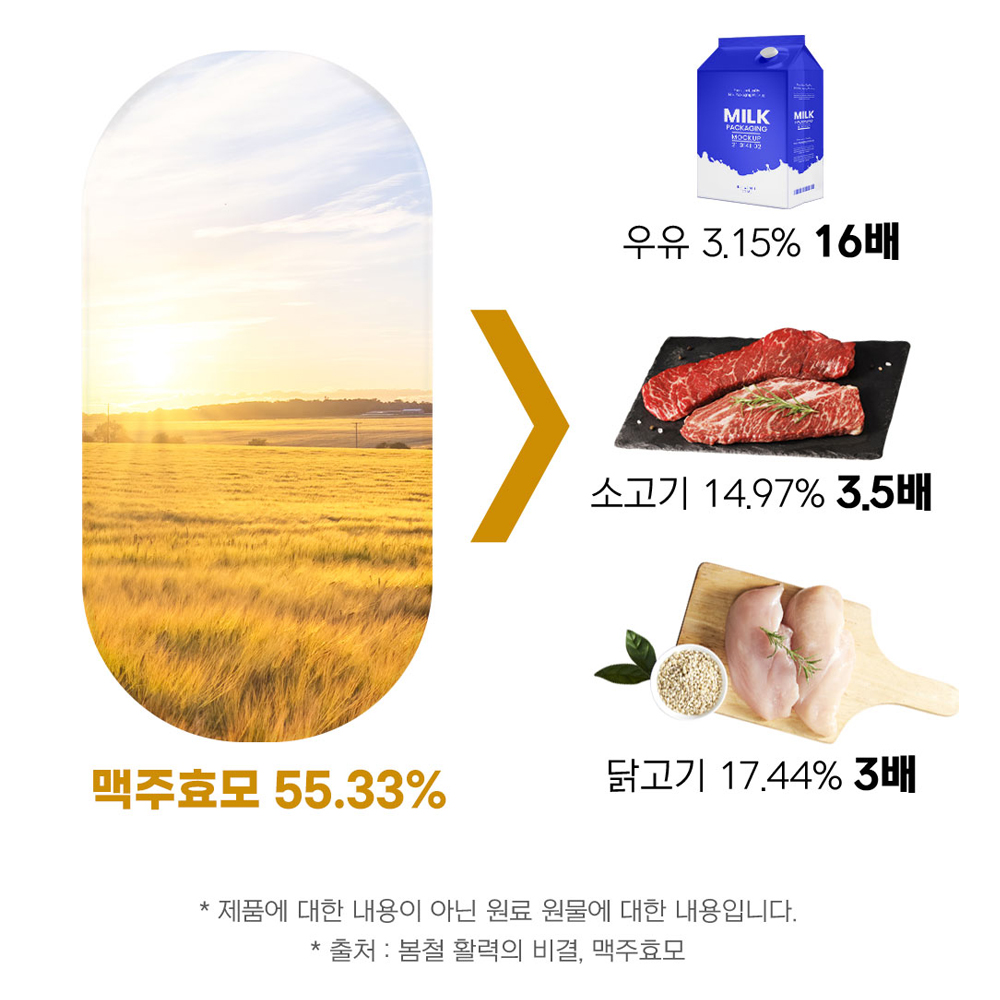 독일산 초고함량 맥주효모 비오틴 3000 정 - 상세 이미지 4