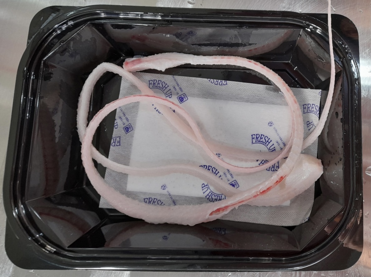 통영 손질 자연산 바다장어 특품 850g, 1개 이미지 6