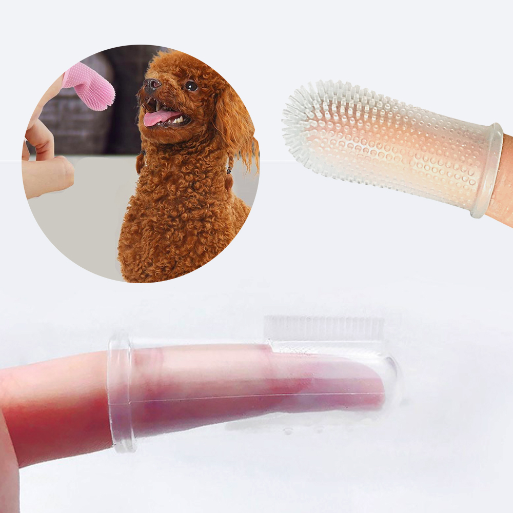 애견 손가락 칫솔 실리콘 벌크 강아지 고양이 엄지 검지 칫솔 양치 잇몸 관리 치석 입냄세 제거 부드러운칫솔 양치질