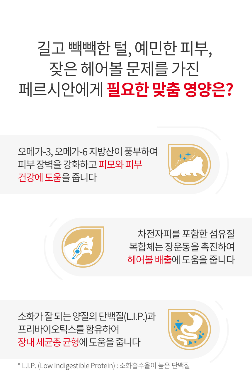 [유통기한 2026.07.18] 로얄캐닌 캣 페르시안 어덜트, 1.2kg, 1개