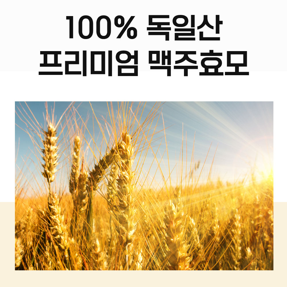 독일산 초고함량 맥주효모 비오틴 3000 정 - 상세 이미지 3