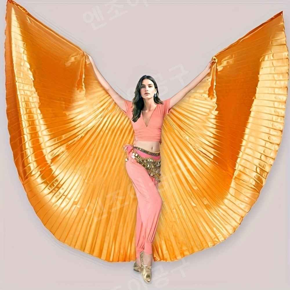 공연복 벨리 댄스 오프닝 날개 윙 여성용 액세서리 라틴 이집트 머슬 퍼포먼스 이미지 6